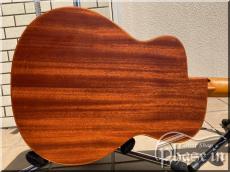 aNueNue Bird Guitar M2_3