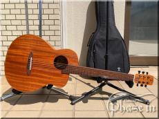 aNueNue Bird Guitar M2_9