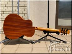 aNueNue Bird Guitar M2_10