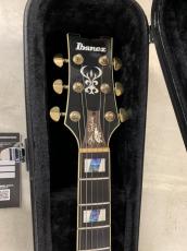 Ibanez JSM-10 VYS John Scofield Signature ジョン スコフィールド!_5