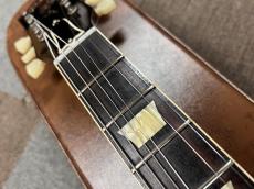 Gibson 2019 Historic Collection 60th Anniversary 1959 Les Paul Standard Hand Selected Model_10