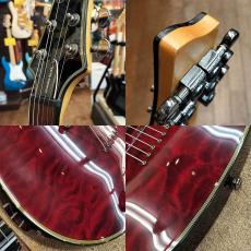 SCHECTER AD-DM-EL DAMIEN ELITE_3