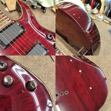 SCHECTER AD-DM-EL DAMIEN ELITE_6