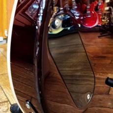 Electromatic by GRETSCH G5235_5
