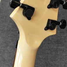 GrassRoots G-FR-62GT_6