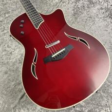 Taylor T5S【2007's USED】