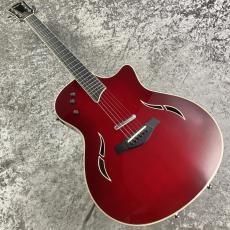 Taylor T5S【2007's USED】_2