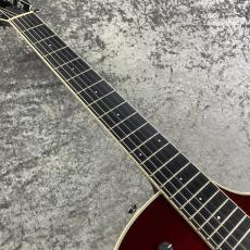 Taylor T5S【2007's USED】_4