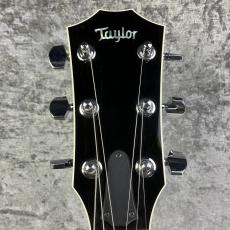 Taylor T5S【2007's USED】_5
