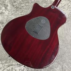 Taylor T5S【2007's USED】_6