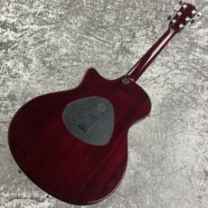 Taylor T5S【2007's USED】_7