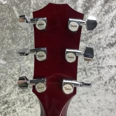 Taylor T5S【2007's USED】_9