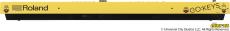 Roland GO:KEYS 3 Minion [GOKEYS3-MI]_2