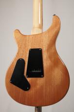 Paul Reed Smith [PRS] SE Custom 24 -Turquoise- 【3.52kg】_6