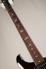 Paul Reed Smith [PRS] SE Custom 24 -Fire Red Burst- 【3.56kg】_4