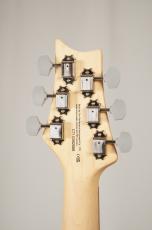 Paul Reed Smith [PRS] SE SE Silver Sky Rosewood -Stone Blue- 【3.23kg】_10