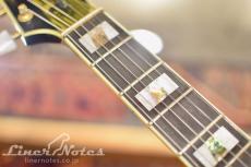 Ibanez 1995 PS10LTD Paul Stanley "DEAD STOCK" (Black Pearl)_6