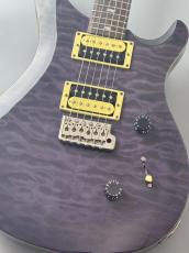 Paul Reed Smith [PRS] 【USED】SE Custom 24  2013年製【3.50kg】_2