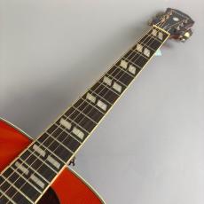 Epiphone Hummingbird PRO_3