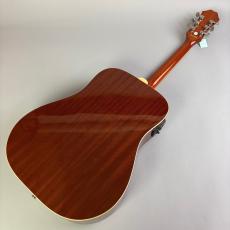 Epiphone Hummingbird PRO_6
