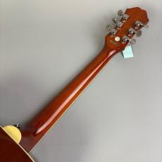 Epiphone Hummingbird PRO_7