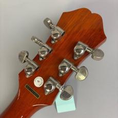 Epiphone Hummingbird PRO_8