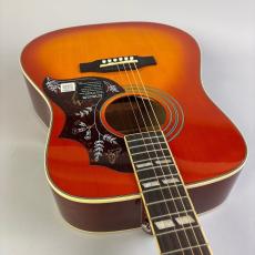 Epiphone Hummingbird PRO_9