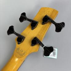 Ibanez SR2500_8