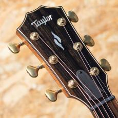 Taylor Builder's Edition 814ce Dark Turquoise Metallic_8