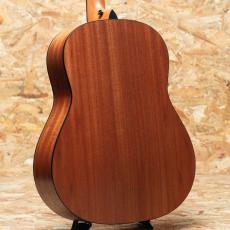 Taylor 117e Special Edition_2
