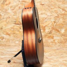 Taylor 117e Special Edition_4