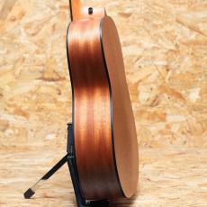 Taylor 117e Special Edition_5