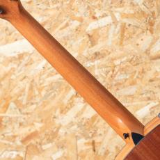 Taylor 117e Special Edition_7