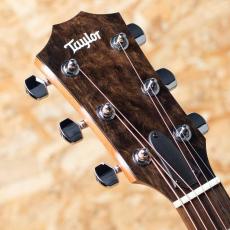 Taylor 117e Special Edition_8