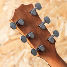Taylor 117e Special Edition_9