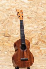 Kamaka HF-2+ Concert_3