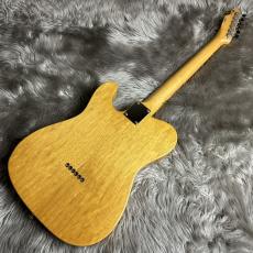 FREEDOM CUSTOM GUITAR RESEARCH TE Pepper Semi Solid / Korina(コリーナ 選定材)(Black Pepper)【現物画像】_7