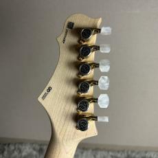 FREEDOM CUSTOM GUITAR RESEARCH Hydra 22F 2Point Premium Grade flame Maple Top / 桜【現物画像】_9