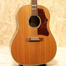 Gibson Country Western 2005