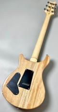 Paul Reed Smith [PRS] SE Custom 24 -Blue Fade-2025年製 #CTI H023557【軽やかなサウンド】_9