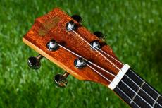 KALA KA-STGE-C Tenor_5