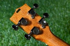 KALA KA-STGE-C Tenor_6