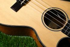 KALA KA-STGE-C Tenor_10