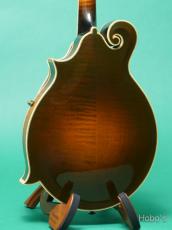 Gibson F-5L_4