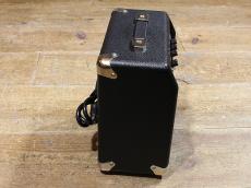 Fender FRONTMAN 10G_5