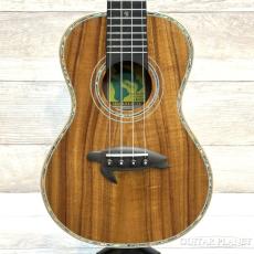 Big Island KX-CTG 【コンサート/ハワイアンコア】【KX Deluxe Series】【24回金利0%対象】【送料込】
