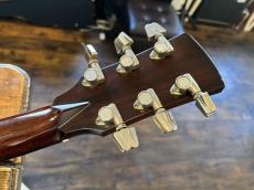 Ibanez AW-100_7