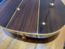 Ibanez AW-100_13