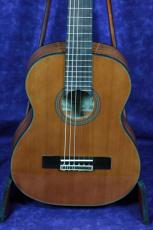 ARIA A-20-48/480mm　杉/サペリ チョイキズ特価_2