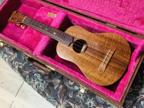 MAUI MUSIC Concert Ukulele　F2041 マウイミュージック　コンサートウクレレ